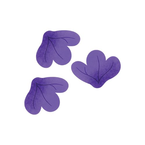 FF5 - SMALL PURPLE FLOWERS