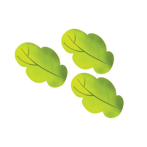 FL1 - LIGHT GREEN LEAVES
